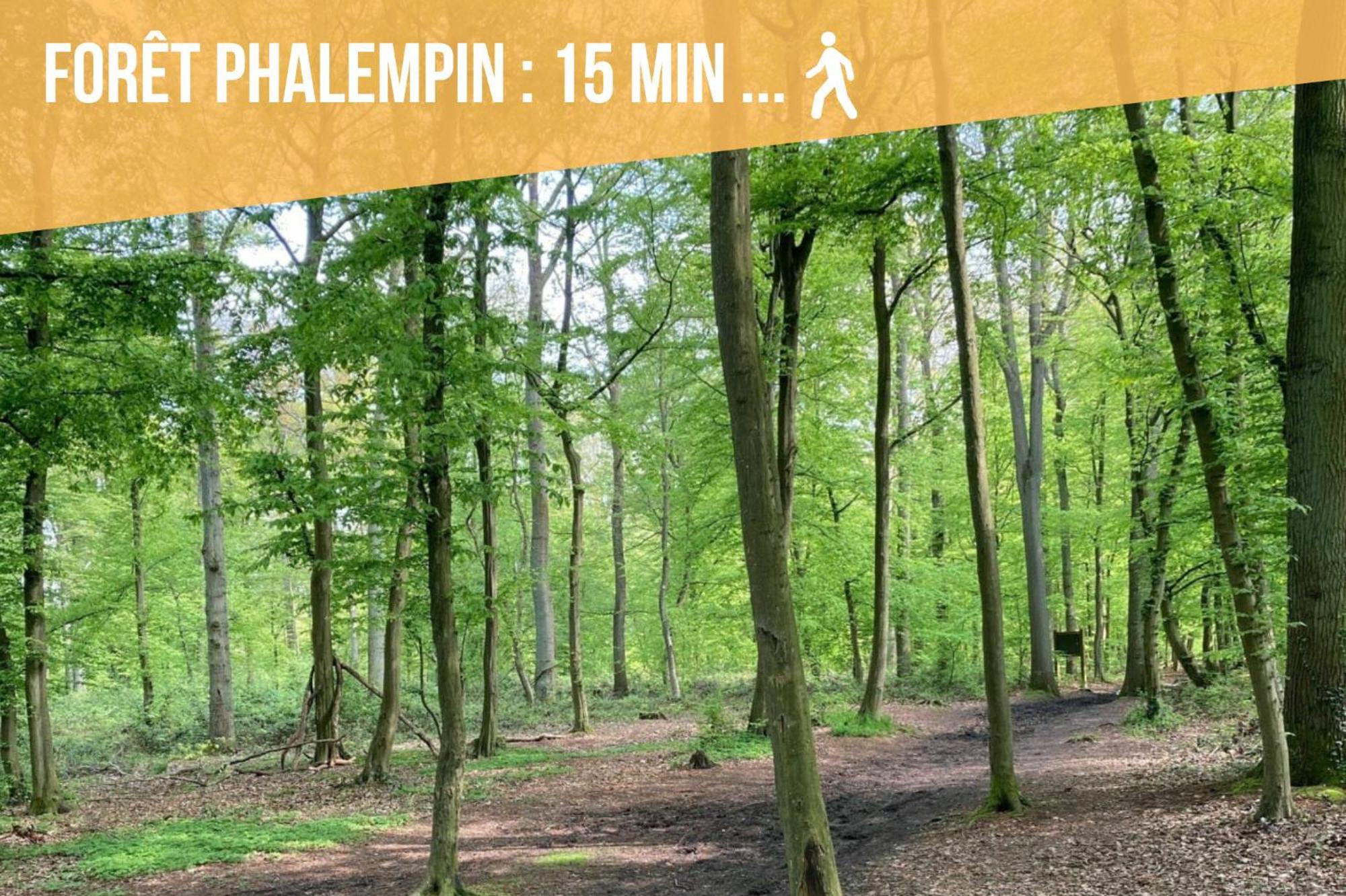 Phalempin Gite Le Duplex - 5Min De La Gare Vers Lille-Lens-Arras מראה חיצוני תמונה